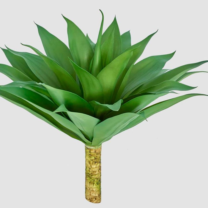Giant Agave 62cm Green Pack of 4