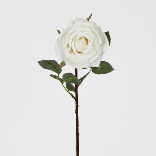 Bella Rose Real Touch 68cm White - Pack of 12