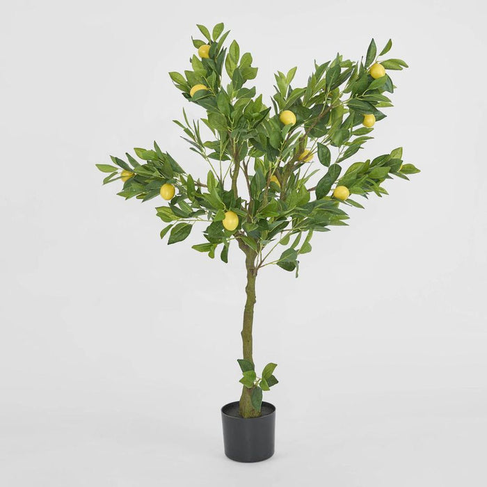 Lemon Tree Real Touch Green 120cm