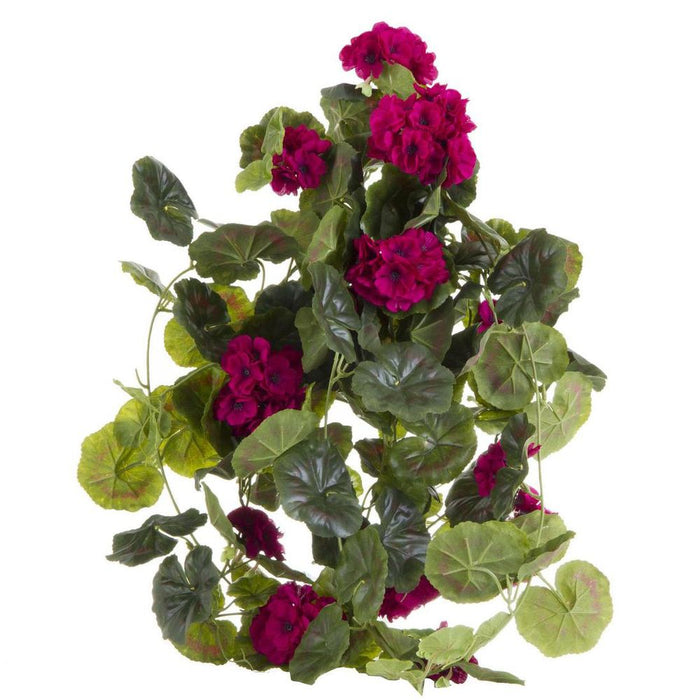 Geranium Dark Lilac Bush Trail Hanging with Leaves 60cm Pack of 6