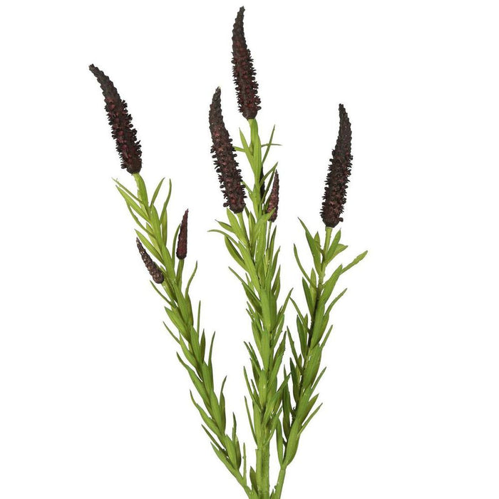 Mint Spray Burgundy 65cm Pack of 12