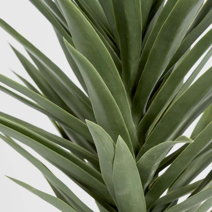 Yucca Plant with Pot 130cm