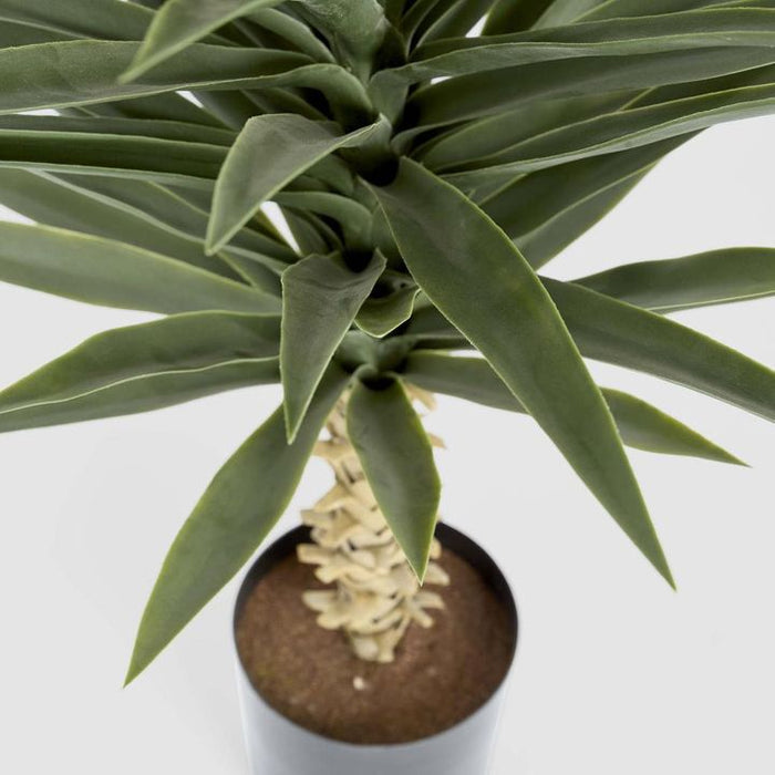 Yucca Plant with Pot 130cm