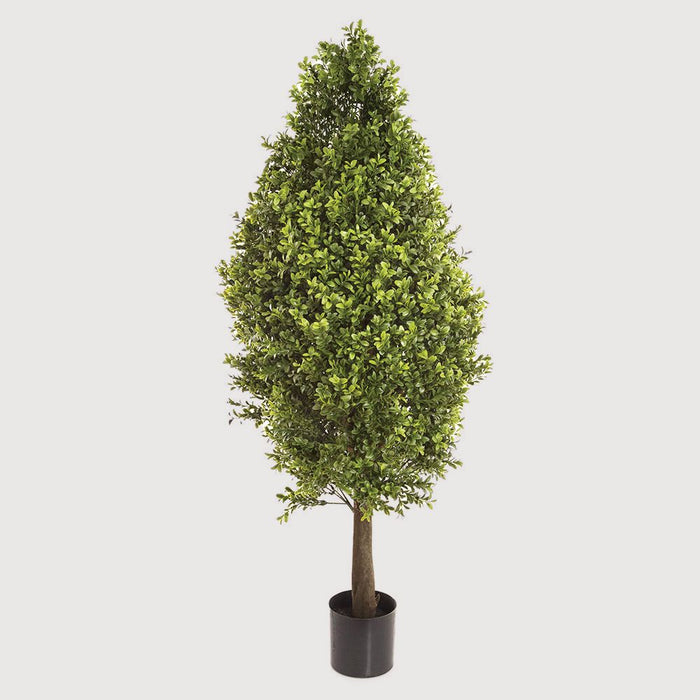 Boxwood Topiary Cone 90cm