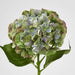 Susan Hydrangea Soft Touch Antique Green
52cm - Pack of 12