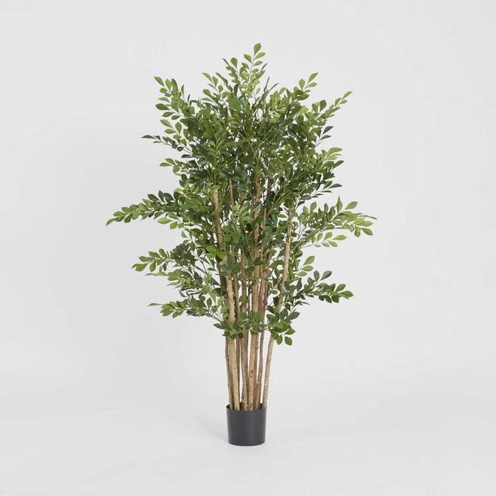 Eucalyptus Mini Leaf Tree Green Green 120cm