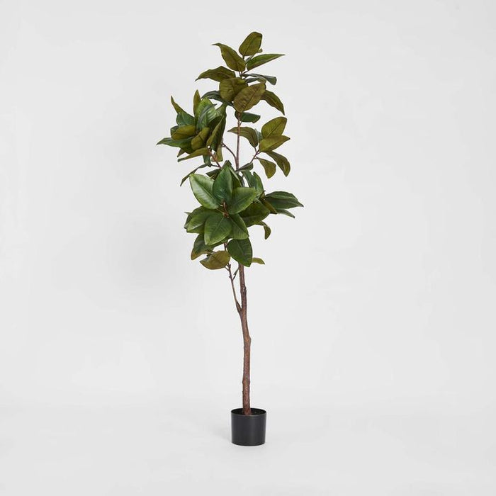 Magnolia Tree Real Touch 170cm