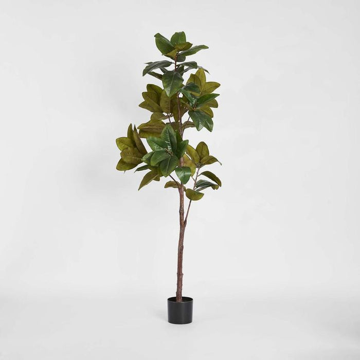 Magnolia Tree Real Touch 170cm