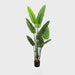 Bird of Paradise Real Touch 210cm