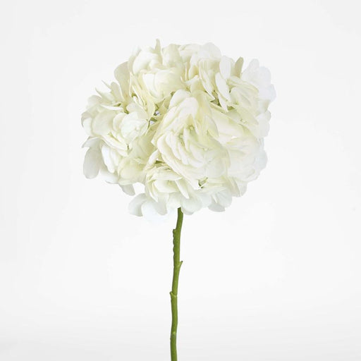 Soft Touch Hydrangea Flower Stem 75cm Cream - Pack of 6