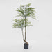 Green Nandina Tree 140cm