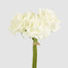 Amelia Real Touch Rose Bouquet Beige 26cm - Pack of 12