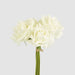 Amelia Real Touch Rose Bouquet Beige 26cm - Pack of 12