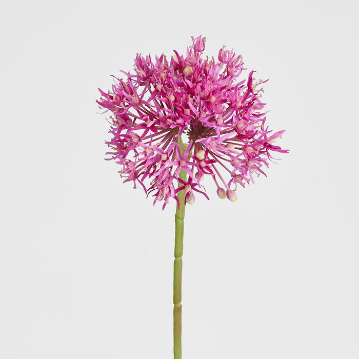 Allium Flower Stem 74cm Fuchsia - Pack of 12