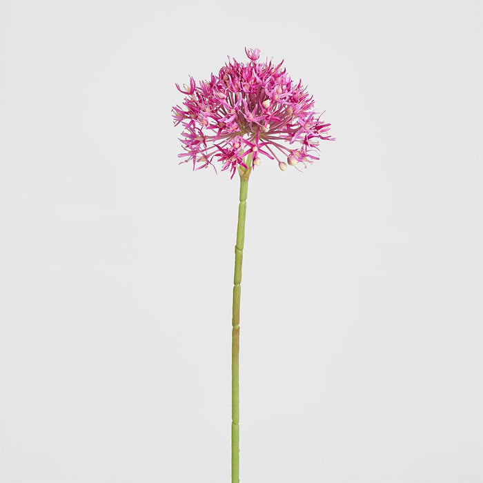 Allium Flower Stem 74cm Fuchsia - Pack of 12