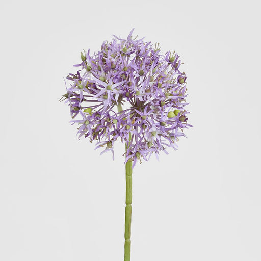 Allium Flower Stem 74cm Lavender Purple - Pack of 12