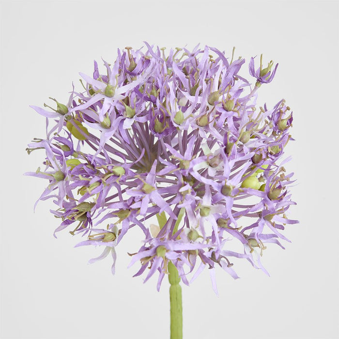 Allium Flower Stem 74cm Lavender Purple - Pack of 12