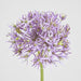 Allium Flower Stem 74cm Lavender Purple - Pack of 12