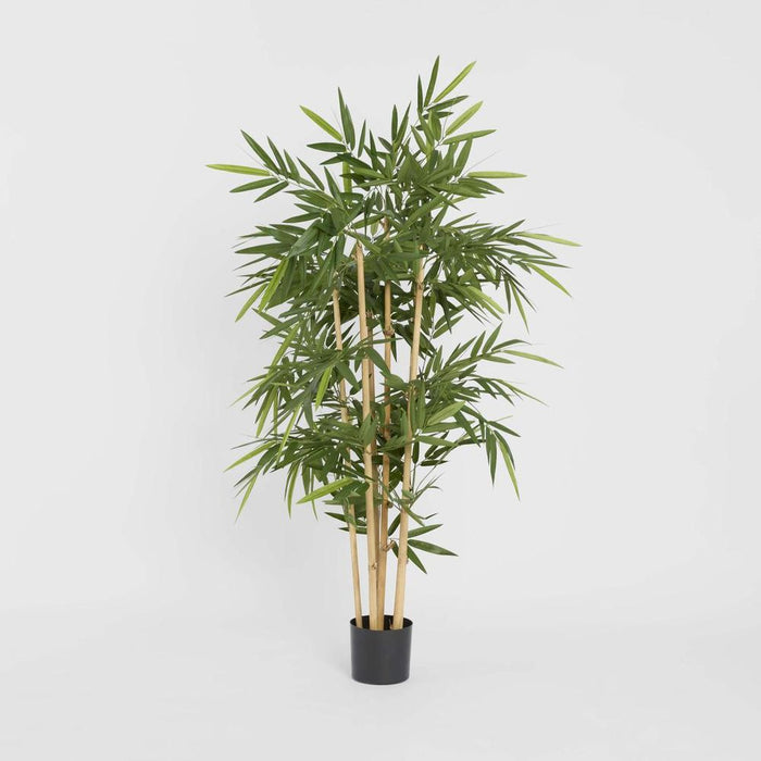 New Bamboo Tree 150cm