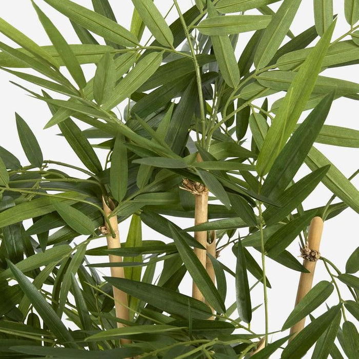 New Bamboo Tree 150cm