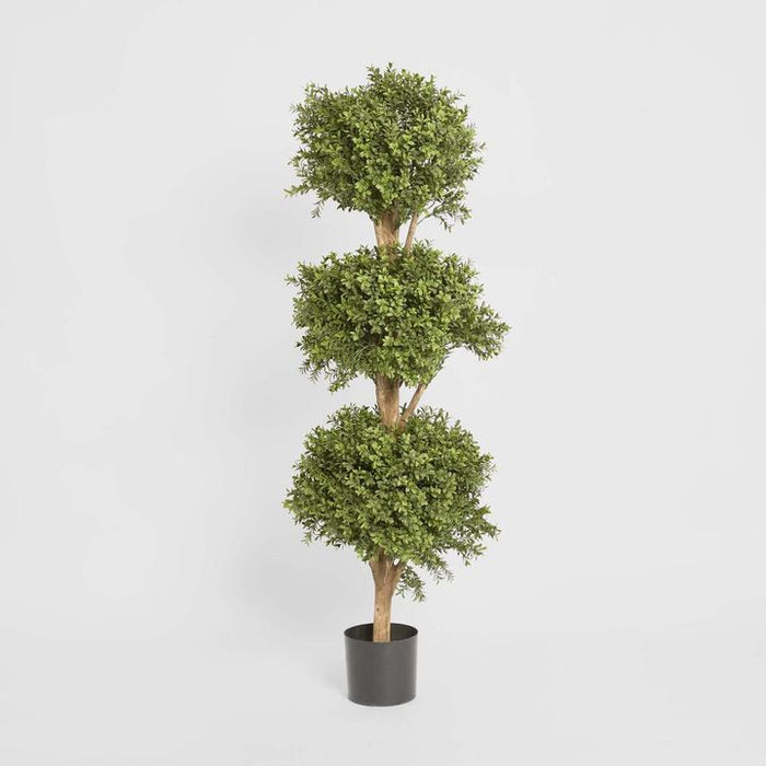Boxwood Triple Ball Topiary Tree 120cm