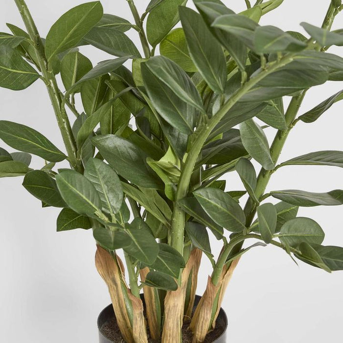 Smargago Potted Plant 90cm