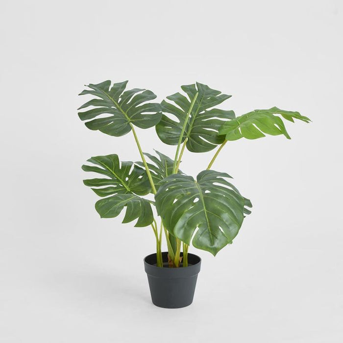 Monstera Tree Real Touch 85cm Set of 2