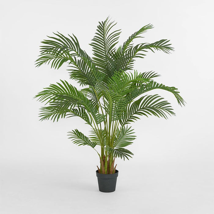 Areca Palm Tree Real Touch 170cm