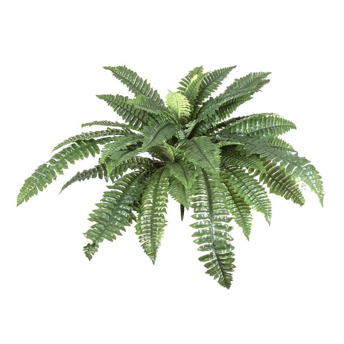 Fern Boston 80cm Pack of 6