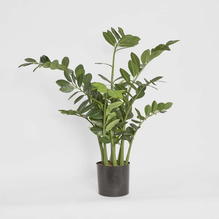 Smargago Plant 110cm