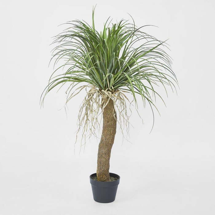 Grass Tree Small 110cm