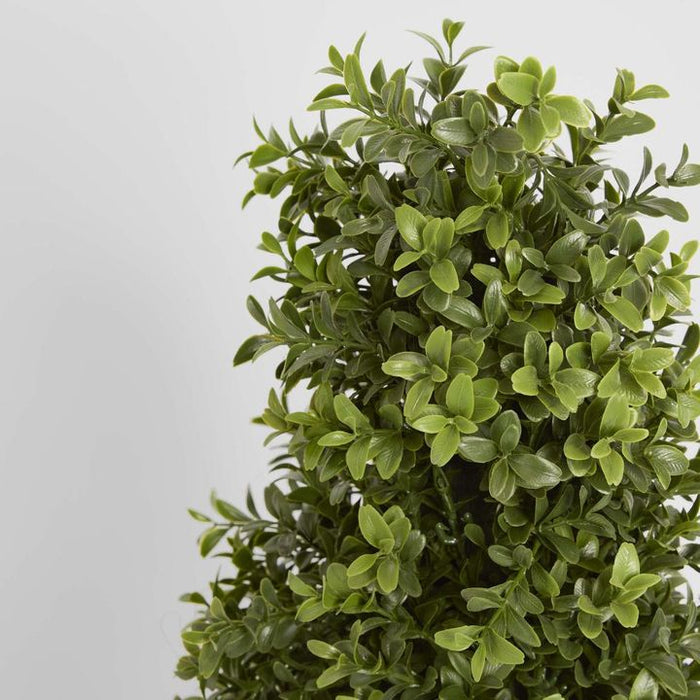 Boxwood Pyramid Topiary Tree 100cm