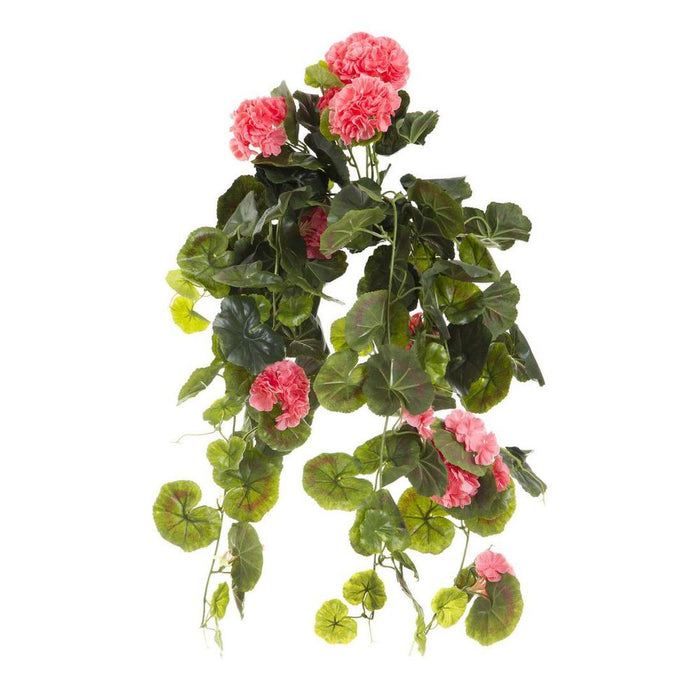 Geranium Peach Bush Trail Hanging with Leaves 60cm Pack of 6