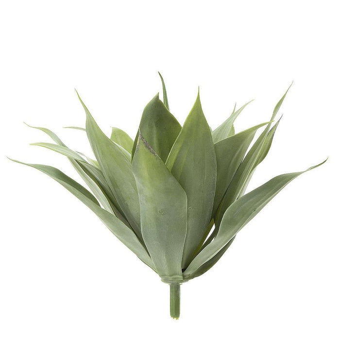 Agave Bush 41cm