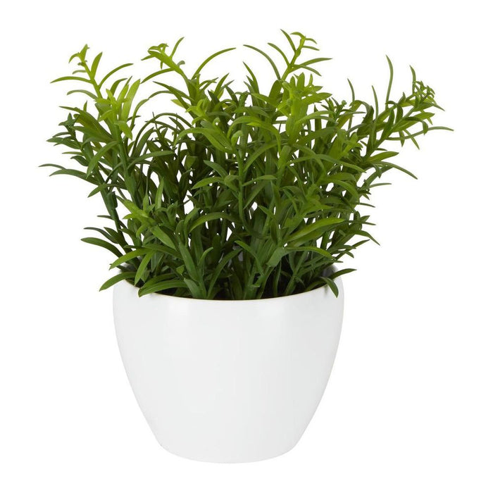 Sedum In Melamine Pot 20cm Green - Pack of 12