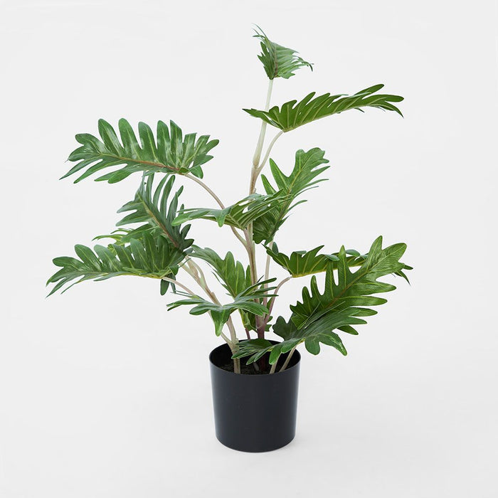 Real Touch Philo Green Plant In Black Pot 50cm Pack of 4