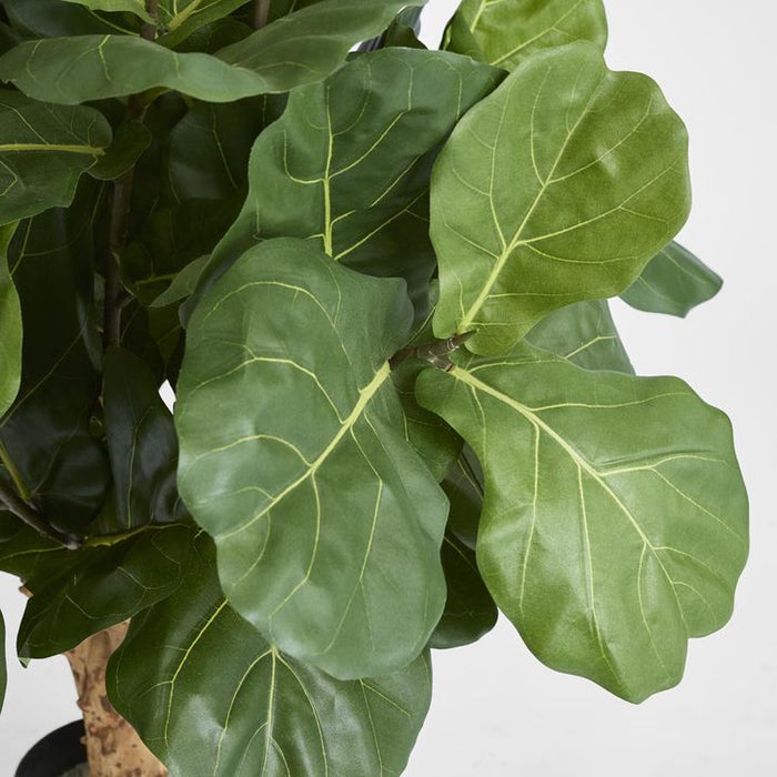 Fiddle Leaf Tree with 70 Leaves 75cm