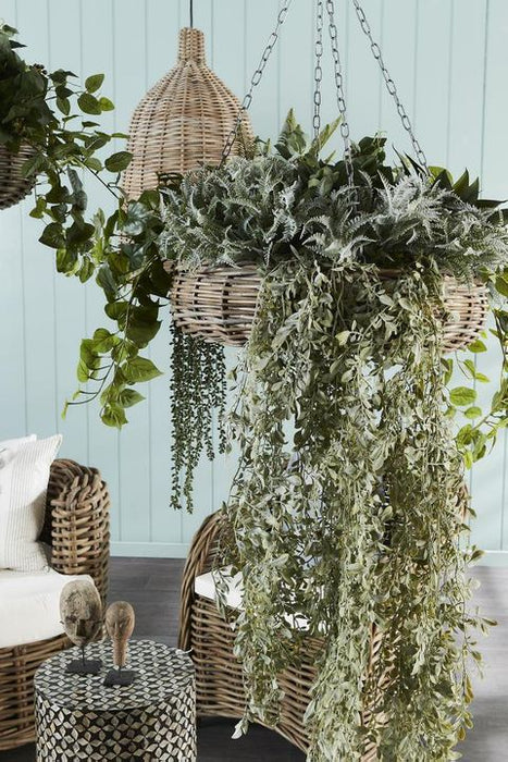 Fern Lamb Bush 45cm Pack of 12