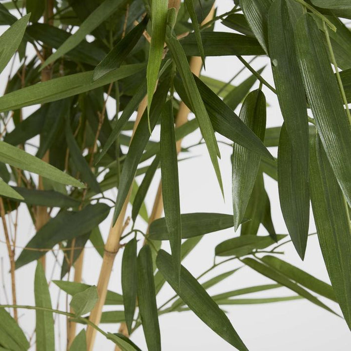 New Bamboo Tree 100cm