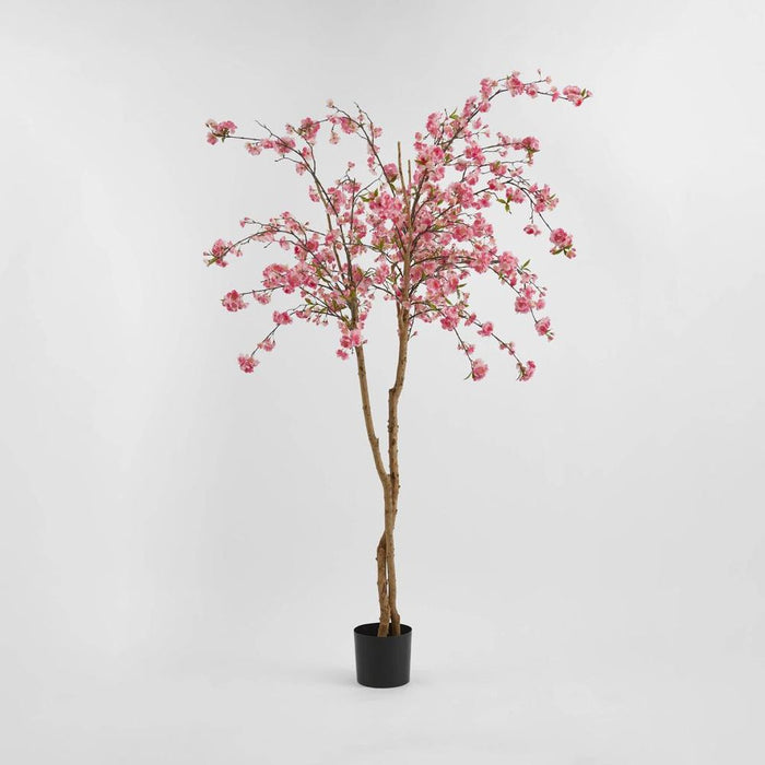 Cherry Blossoms Tree 150cm