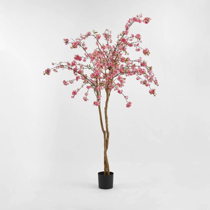 Cherry Blossoms Tree 150cm