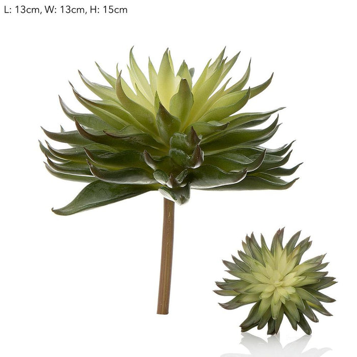 Succulent Spray Green 17cm Pack of 12