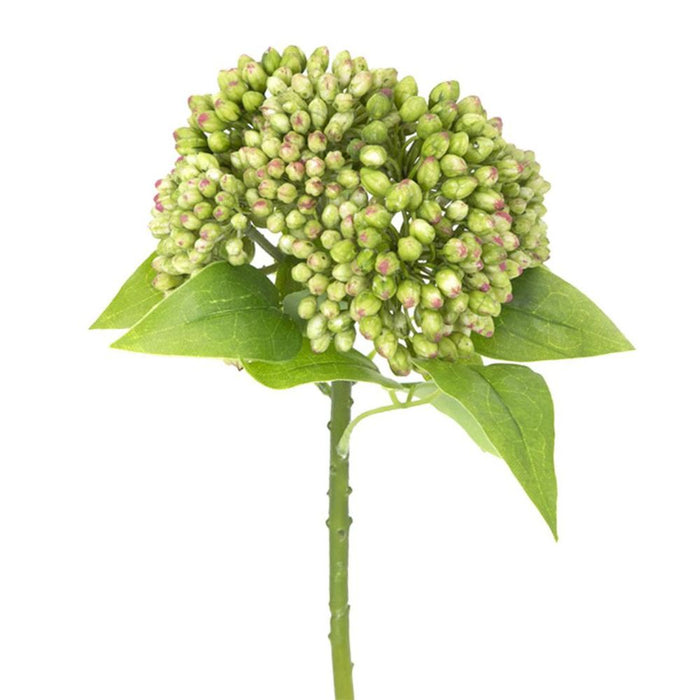 Berry Stem Green 43cm Pack of 12