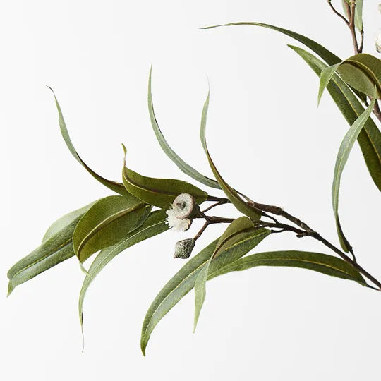 Eucalyptus Pod Flowering White 91cm - Pack of 12