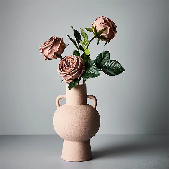 Rose Austin Coffee 72cm - Pack of 12