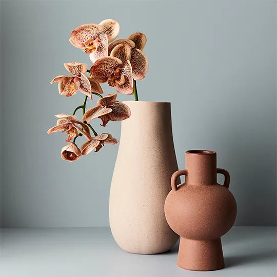 Orchid Phalaenopsis Spray Toffee Brown 92cm Pack of 12