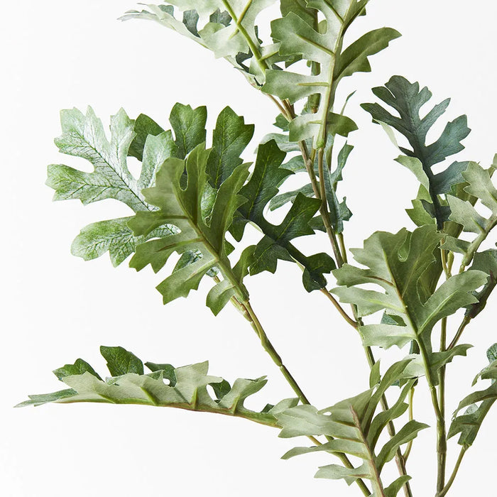 Dusty Miller Spray Grey Green 66cm - Pack of 12