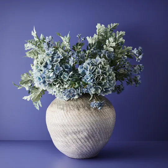 Dusty Miller Spray Grey Green 66cm - Pack of 12