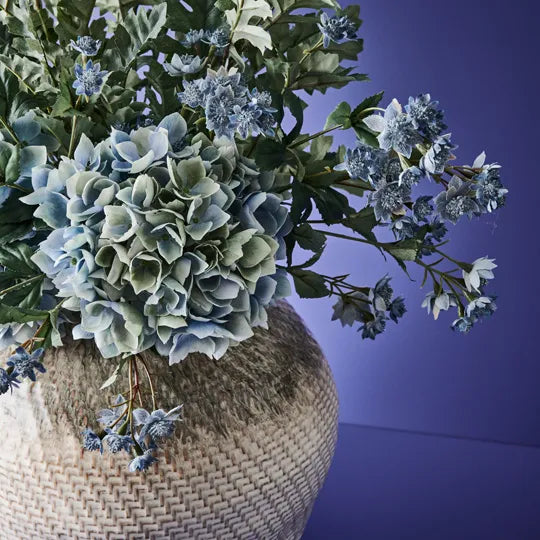 Dusty Miller Spray Grey Green 66cm - Pack of 12