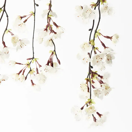 Blossom Cherry Hanging White 120cm - Pack of 12